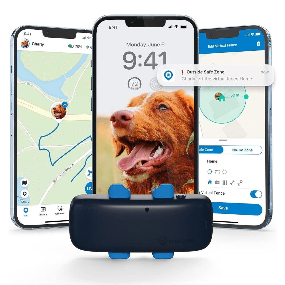 Top 5 Dog GPS Collars of 2024 – BestPulse UK Reviews